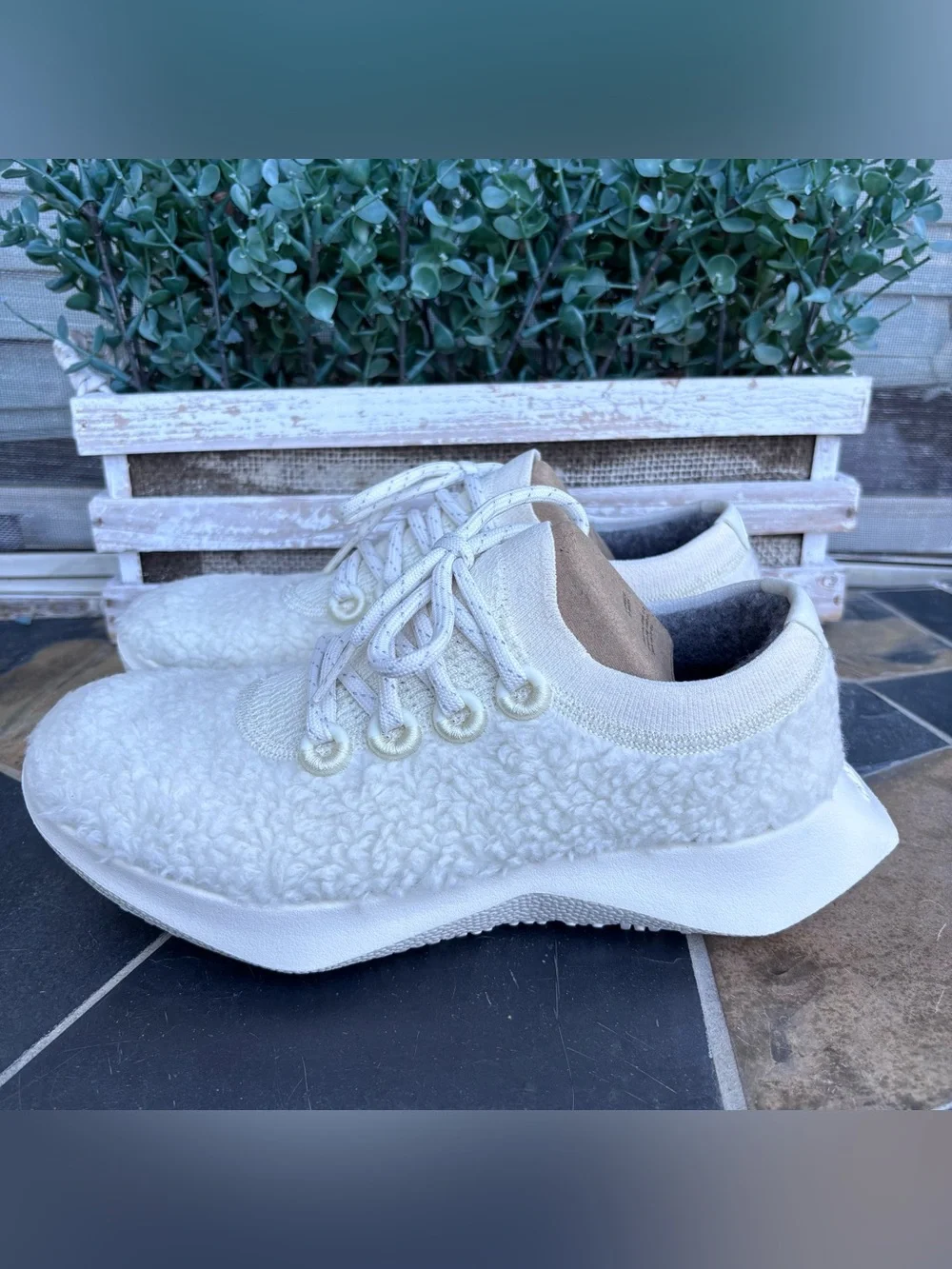 Allbirds Wool Dasher Fluff Sneakers